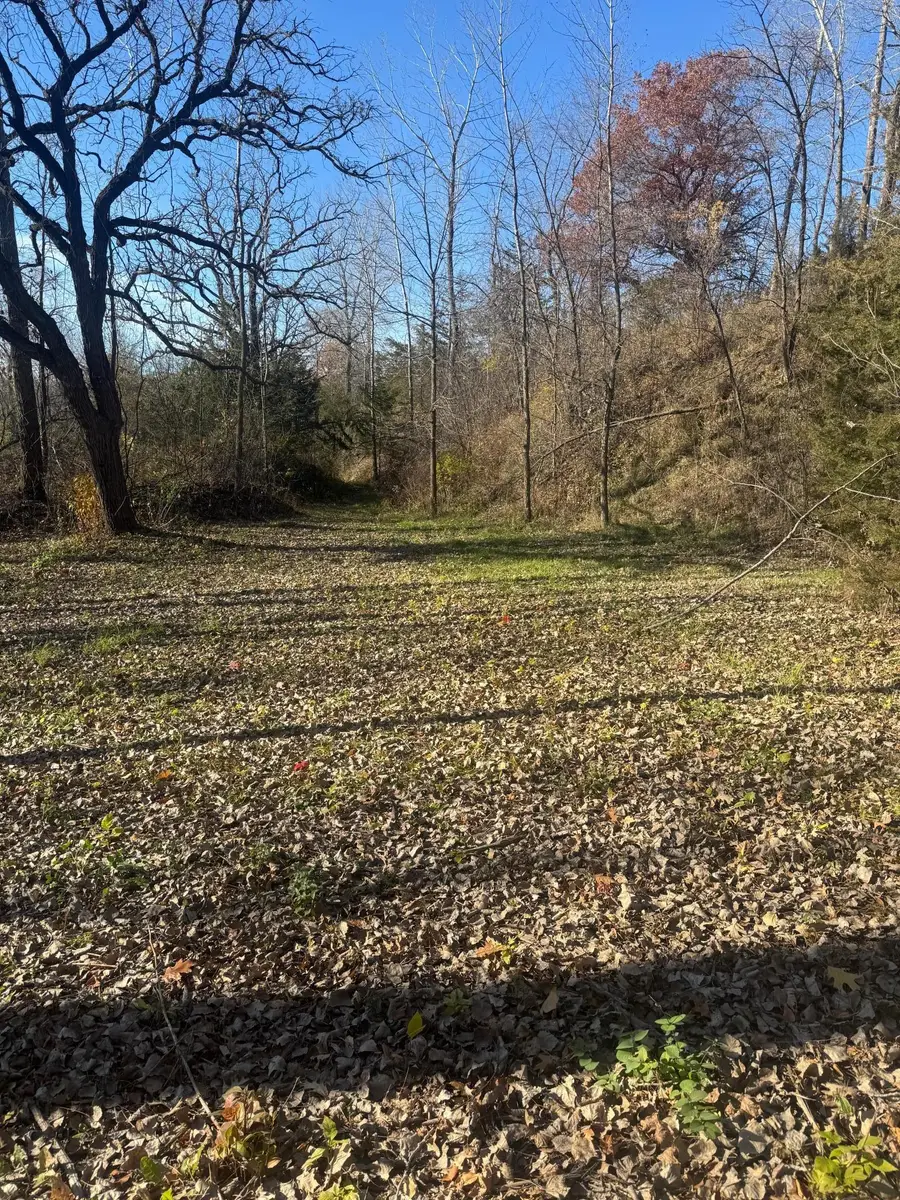 TBD 250th Street E, Cedar Lake Township, MN 55020 - Image #3