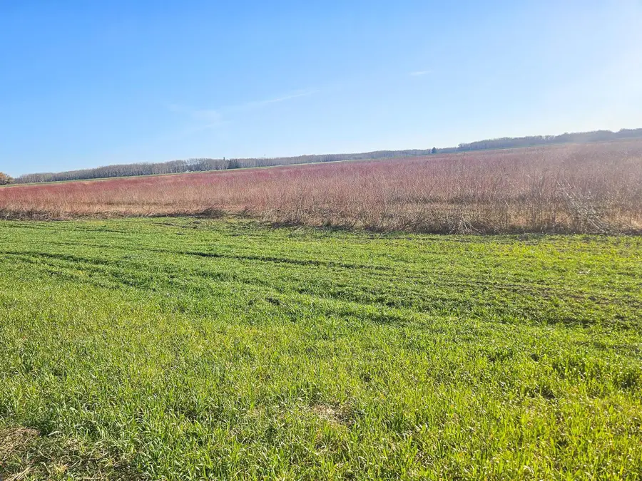 TBD Tbd, Newfolden, MN 56738 - Image #2