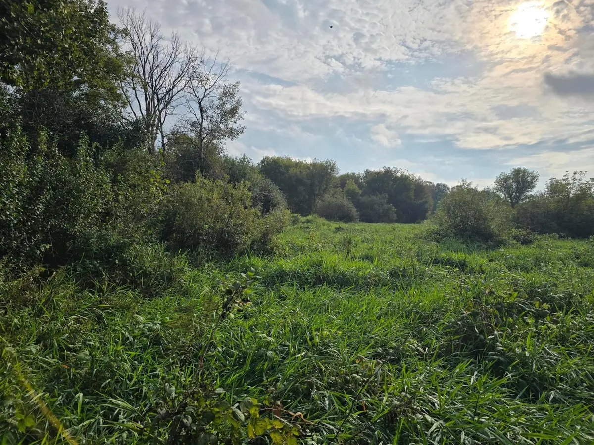 TBD Tbd, Ham Lake, MN 55304 - Image #1