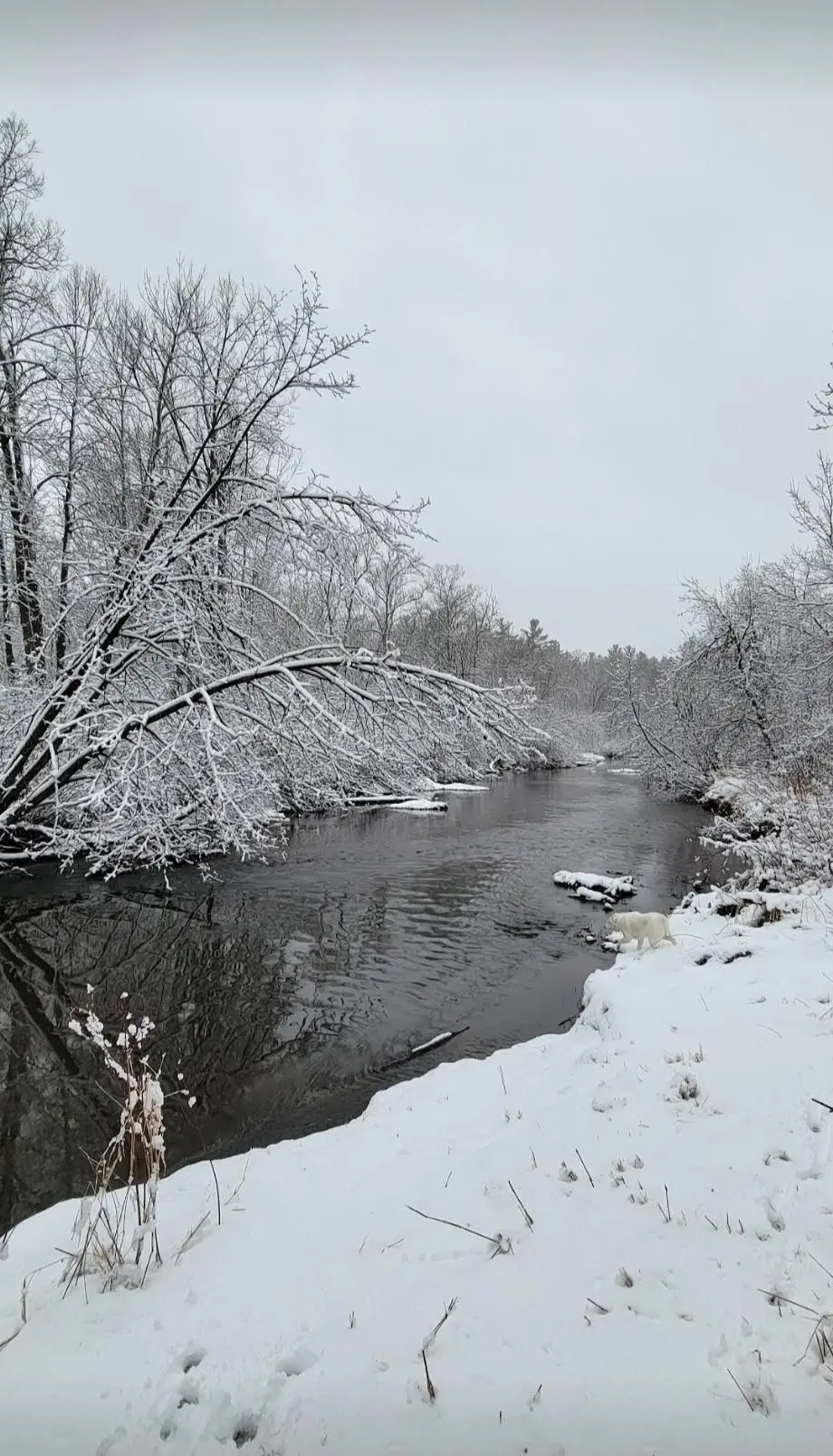 84335 Jack Pine Lane, Sturgeon Lake, MN 55783 - Image #1