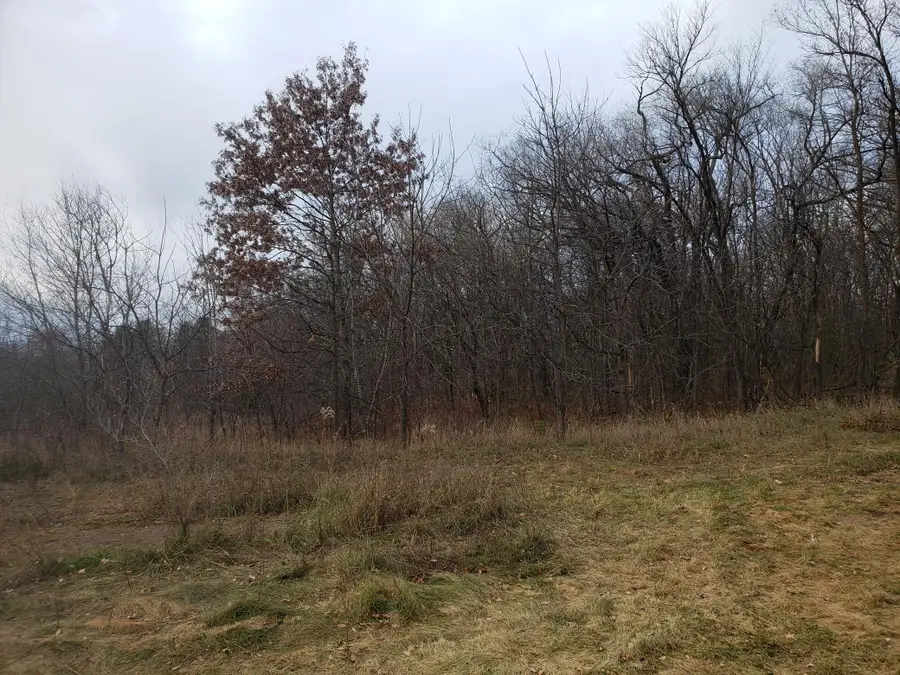 Lot 2 & 3 County Road M / 202nd St, Star Prairie, WI 54026 - Image #2