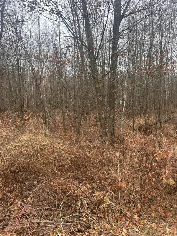 TBD Lake Camile, Cushing Twp, MN 56475