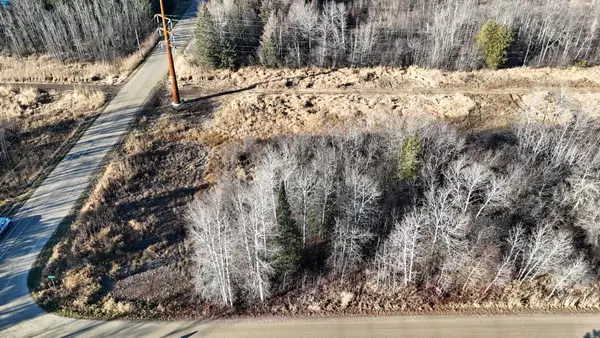 Parcel A Parameter Road, Deer River, MN 56636