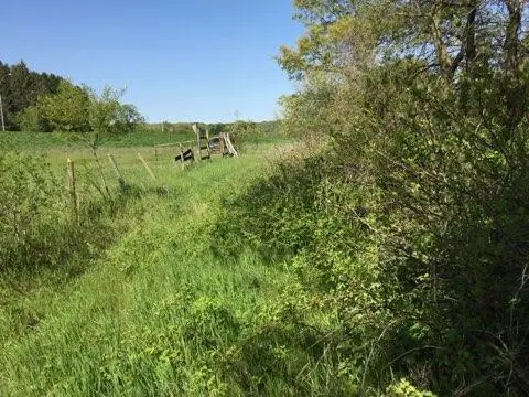 xxx County Road 24 & 63rd Ave, Cannon Falls, MN 55009 - Image #3