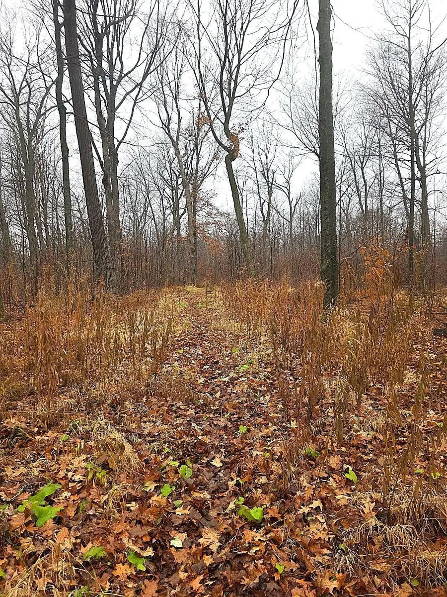 2391 40th Street, Cumberland, WI 54829 - Image #2