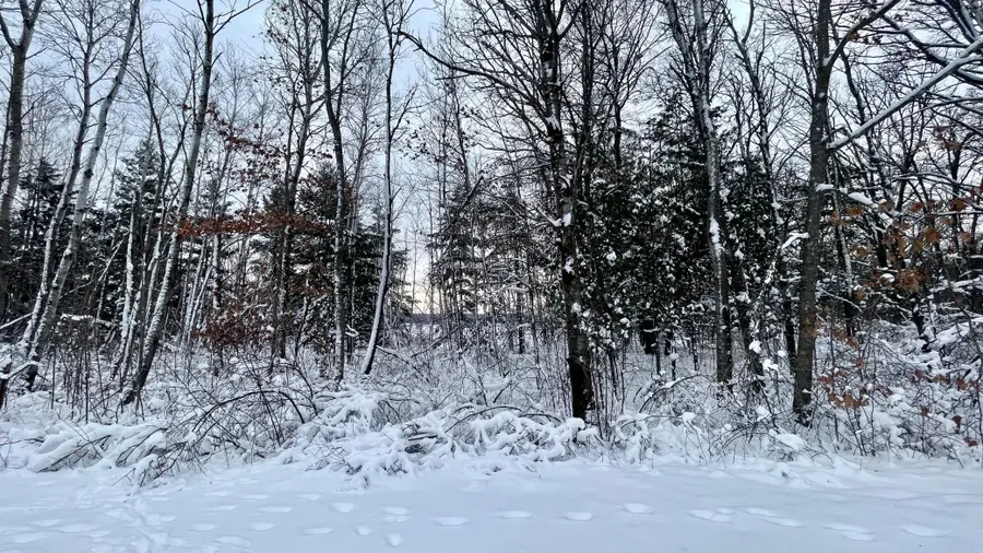 TBD Spruce Circle, Roosevelt, MN 56450 - Image #2