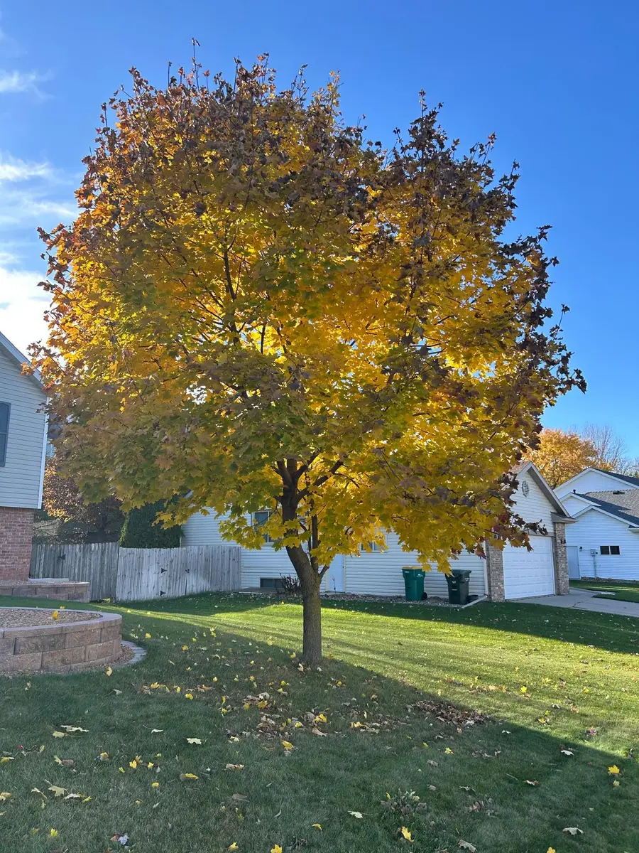 5303 Nicklaus Drive Nw, Rochester, MN 55901 - Image #3