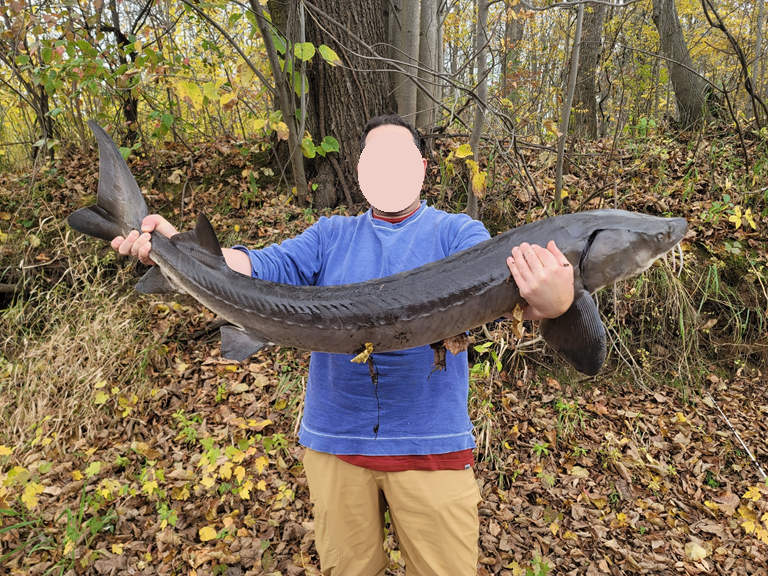 15xxx Lofty Pines Road, Pine City, MN 55063 - Image #3