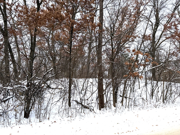 381 Totem Road, Saint Paul, MN 55119