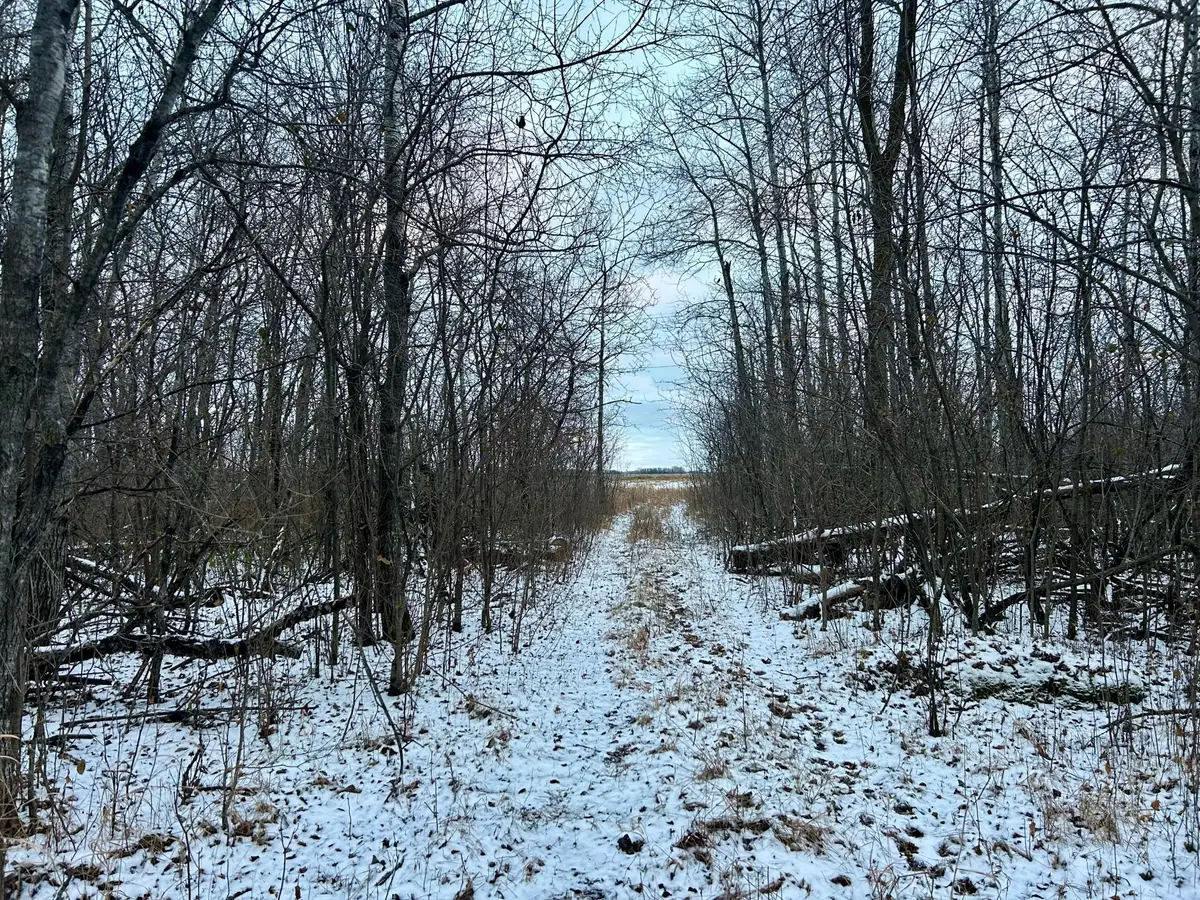 TBD 160th Street Ne, Thief River Falls, MN 56701 - #1