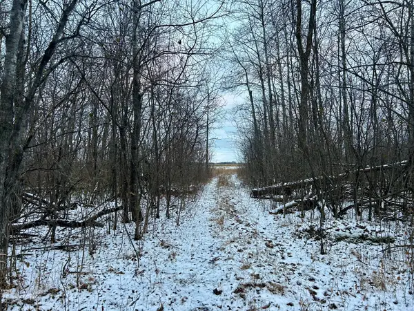 TBD 160th Street Ne, Thief River Falls, MN 56701