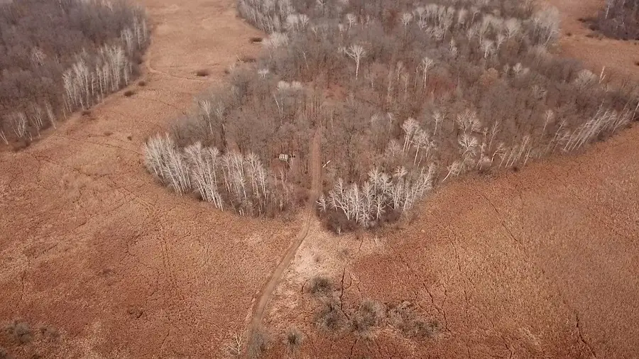 xxxx 73rd Street, Pierz, MN 56338 - Image #3