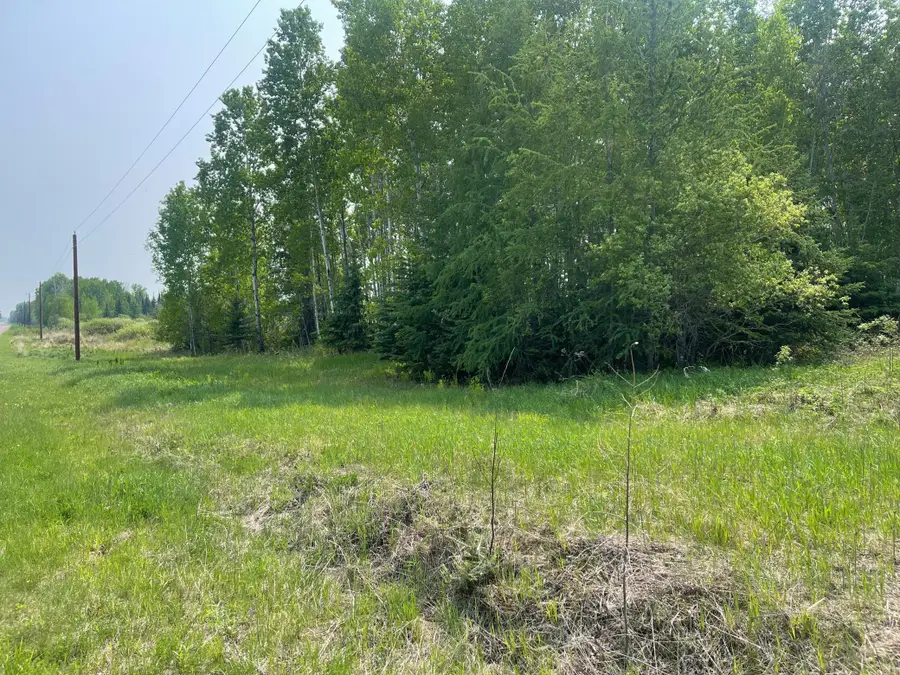 8017 N Savanna Road, Floodwood, MN 55736 - #3