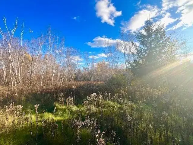 Lot 2 County Rd Q, Clear Lake, WI 54005 - Image #2