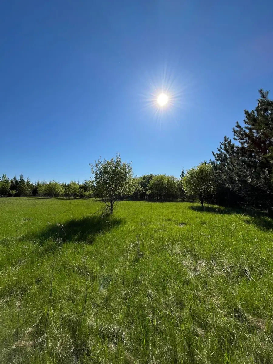 Lot 4 - TBD 330th Street, Warroad, MN 56763 - #2