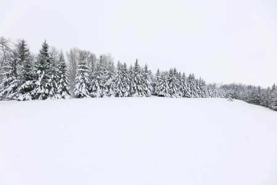 18 AC Solem Lake Road Sw, Kensington, MN 56343 - Image #2