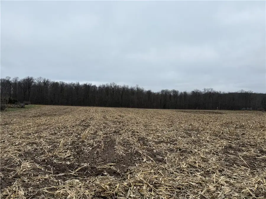 Lot 1 County Hwy D, Sarona, WI 54870 - Image #2