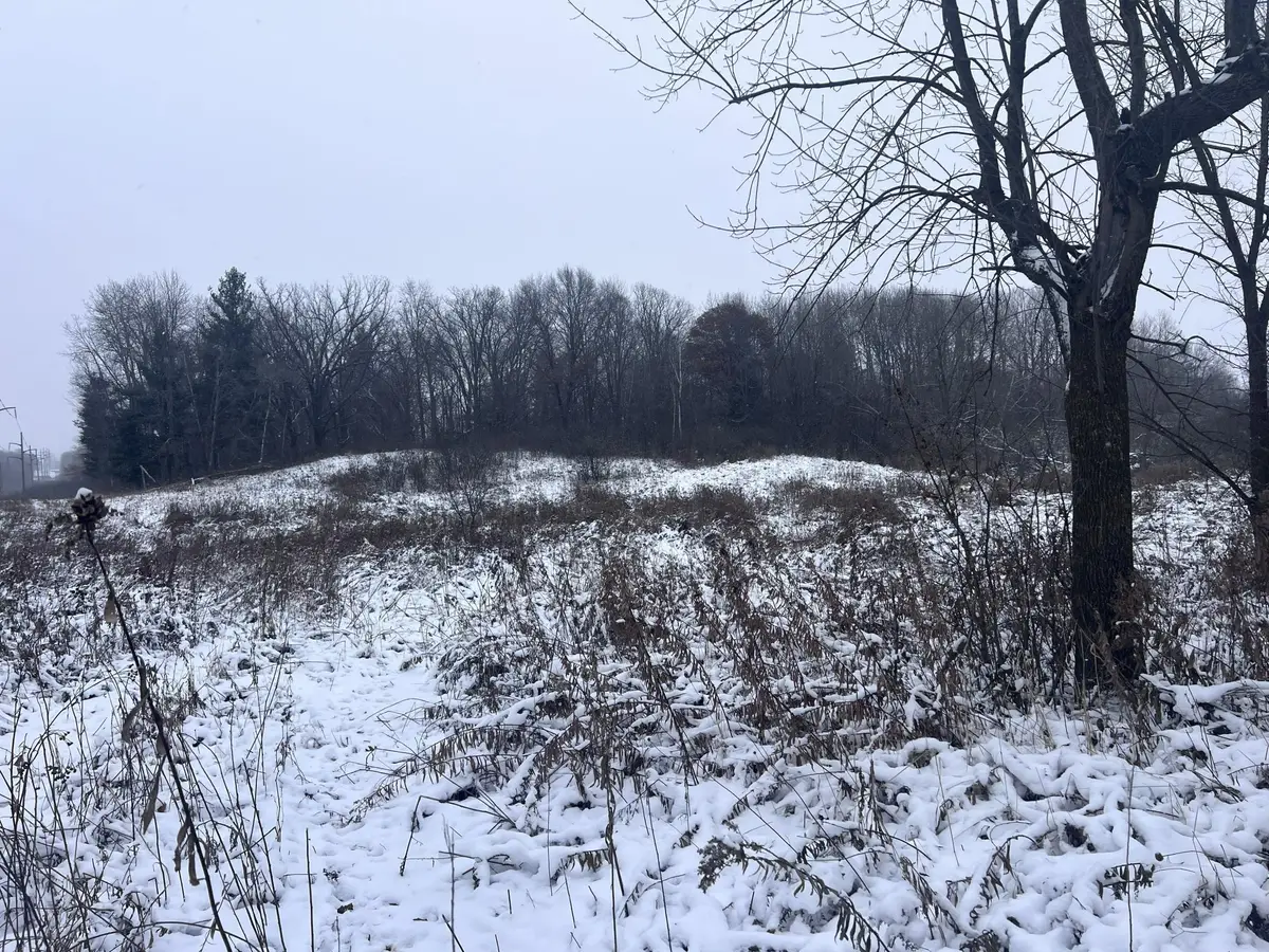 tbd County Line Avenue, Black Brook, WI 54005 - Image #1