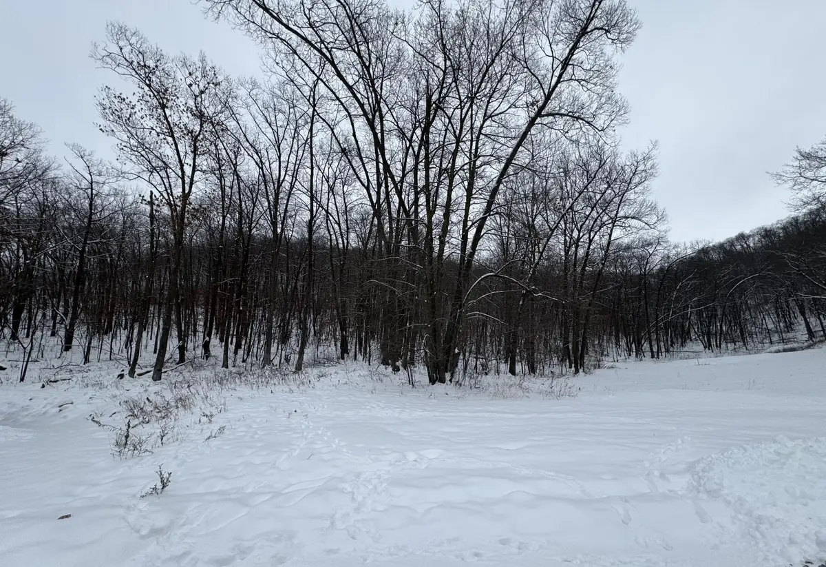 458 Oakhurst Circle, Lake City, MN 55041 - #1