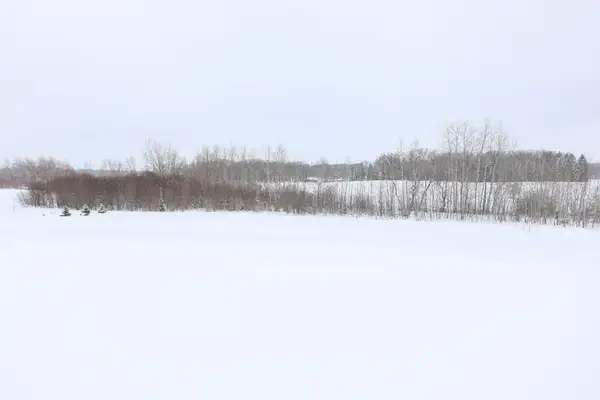 TBD Tasha Drive Nw, Garfield, MN 56332