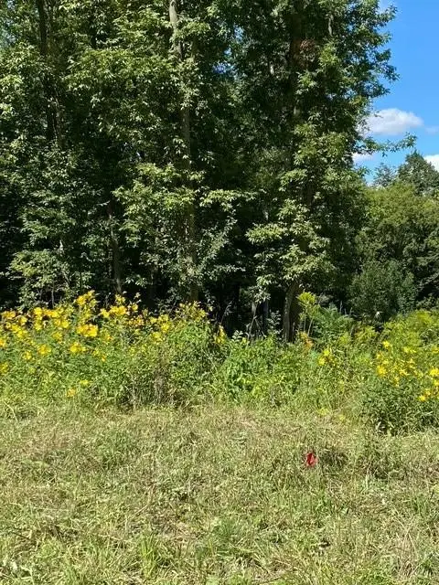 20011 Nevada Avenue, Prior Lake, MN 55372 - Image #2