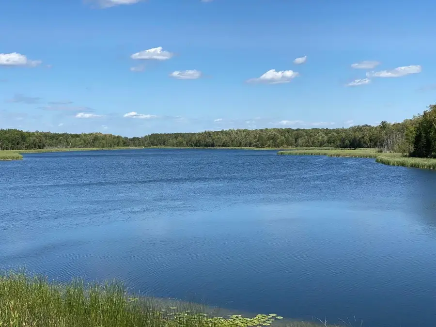 49954 209th Avenue, Clearbrook, MN 56634 - Image #3