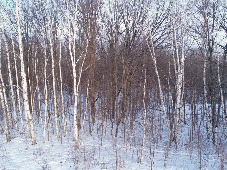 158AC 110th Street, Frederic, WI 54837 - Image #2