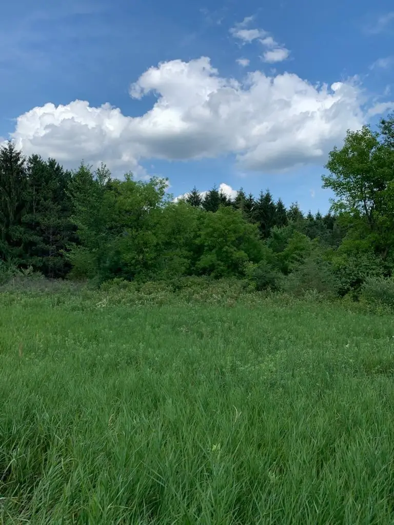 1223 52nd Street, Saint Joseph, WI 54082 - Image #2