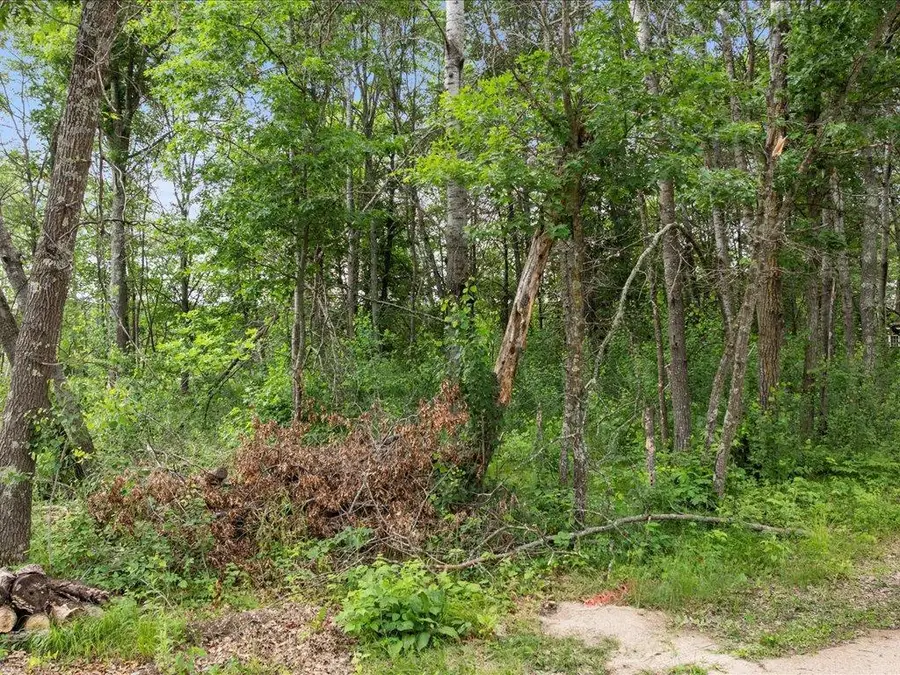 TBD E Cree Bay Circle, Pequot Lakes, MN 56472 - #3