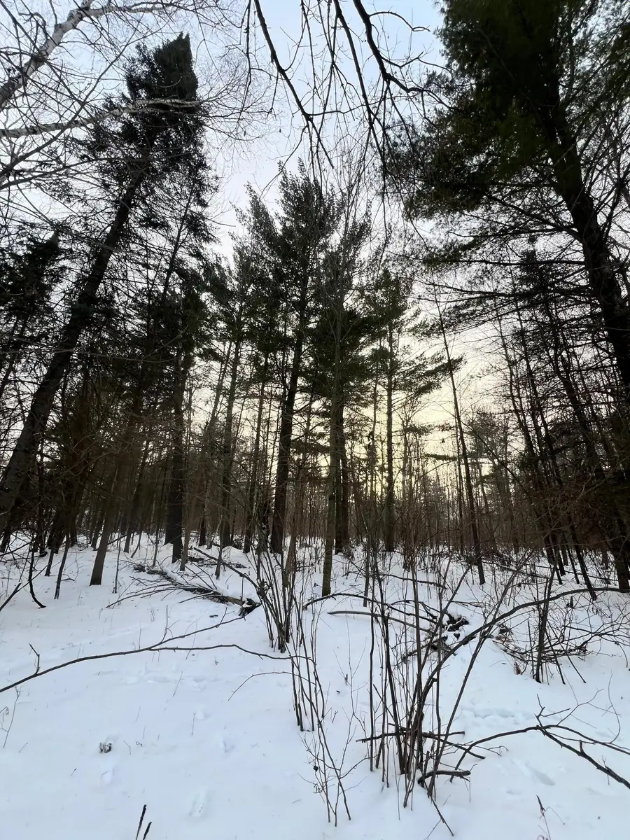 TBD County Rd 67, Grand Rapids, MN 55744 - #3