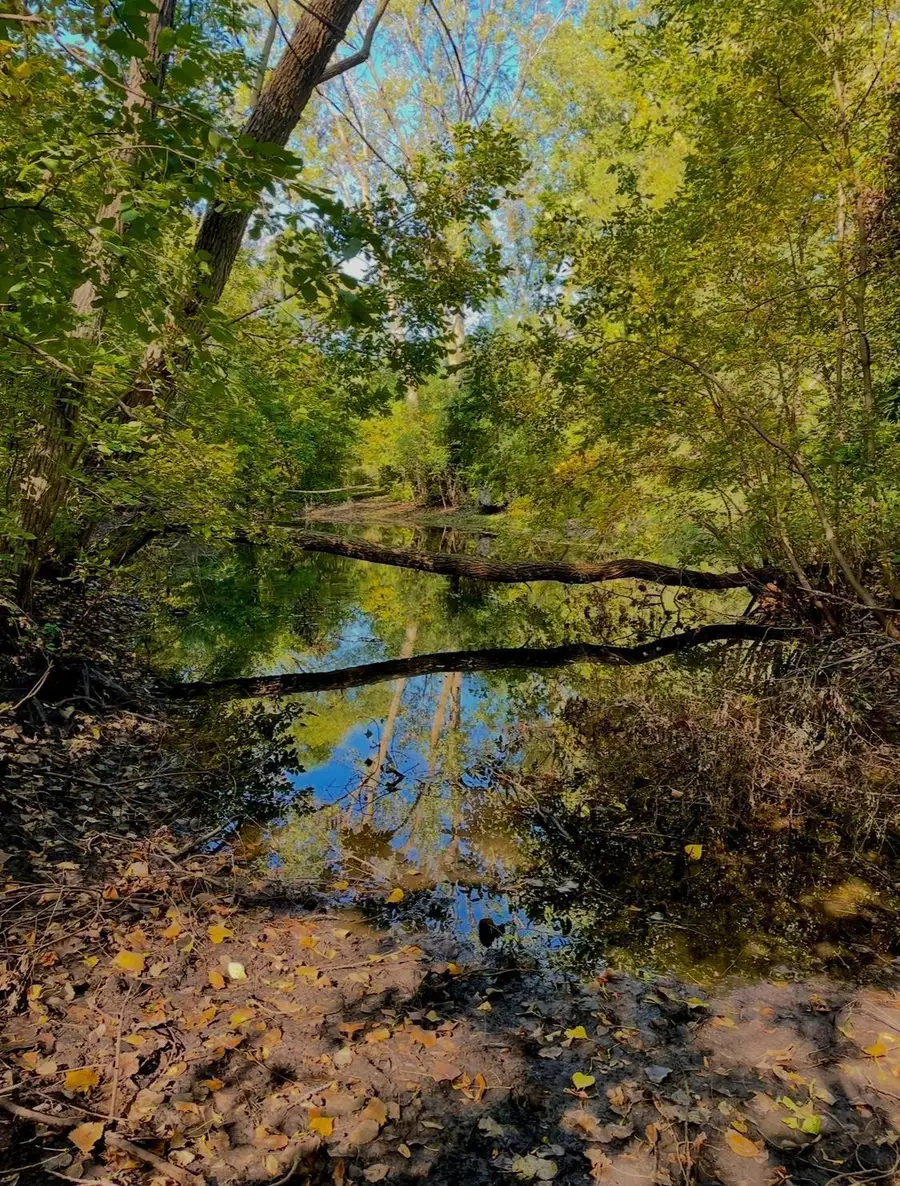 na Na, Albert Lea, MN 56007 - #3