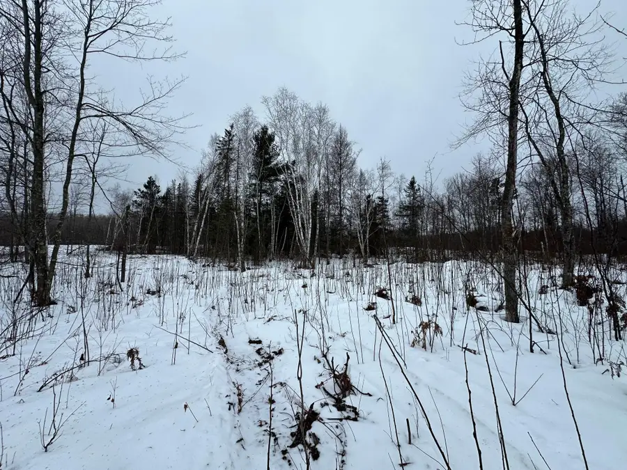 TBD #4 Koecher Road, Kerrick Township, MN 55756 - Image #3