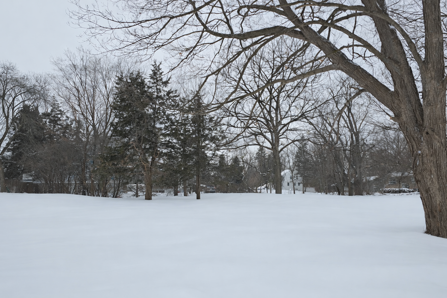 14709 Glendale, Minnetonka, MN 55345 - #2