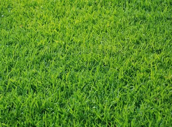 5053 Sydnie Road Nw, Rochester, MN 55901