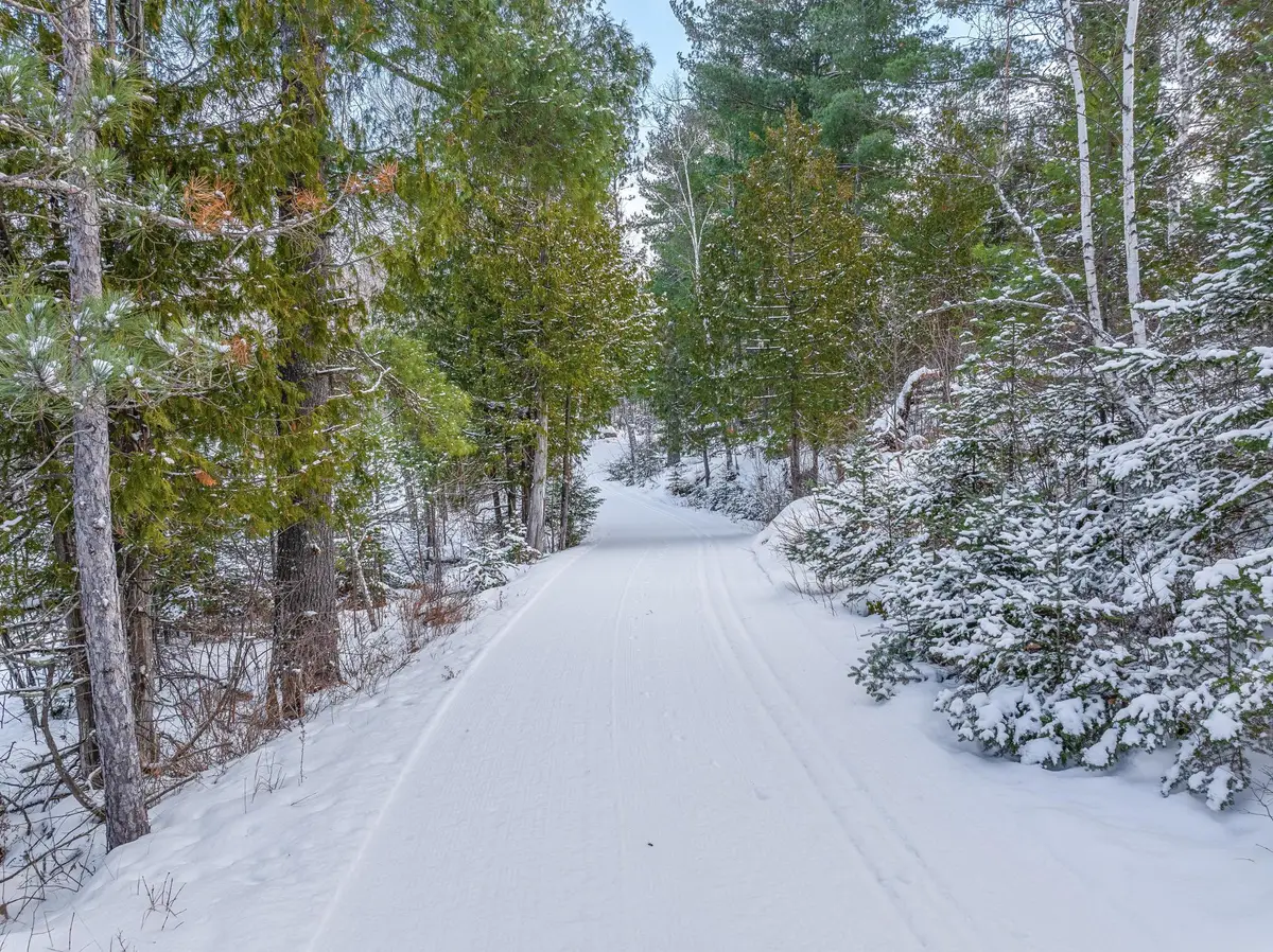 TBD Trezona Drive, Ely, MN 55731 - #1