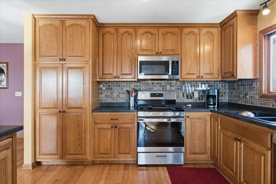 20445 300th Street, New Prague, MN 56071 - #3