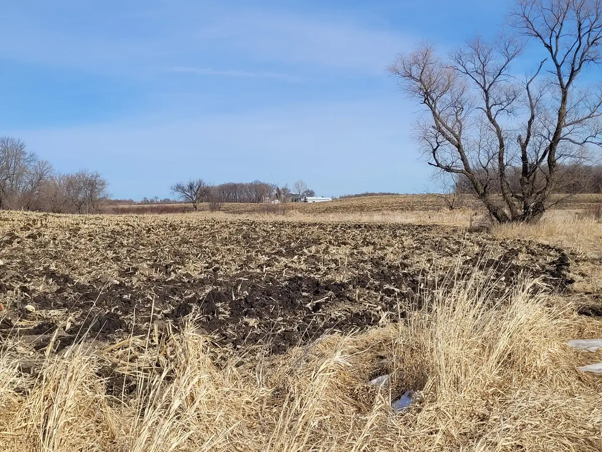 XXXX County Road 7 Nw, Maple Lake, MN 55358 - #1