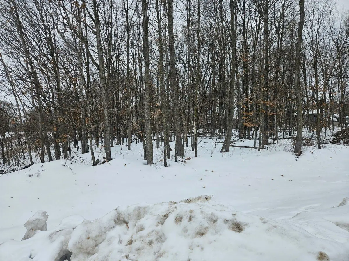 Lot 1, Block 1 2 1/2 Avenue Ne, Saint Stephen, MN 56375 - Image #1