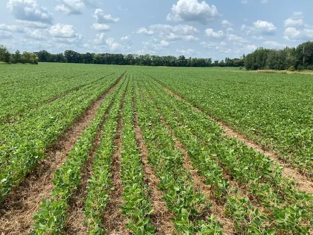 TBD 160th St., Foreston, MN 56330 - #1