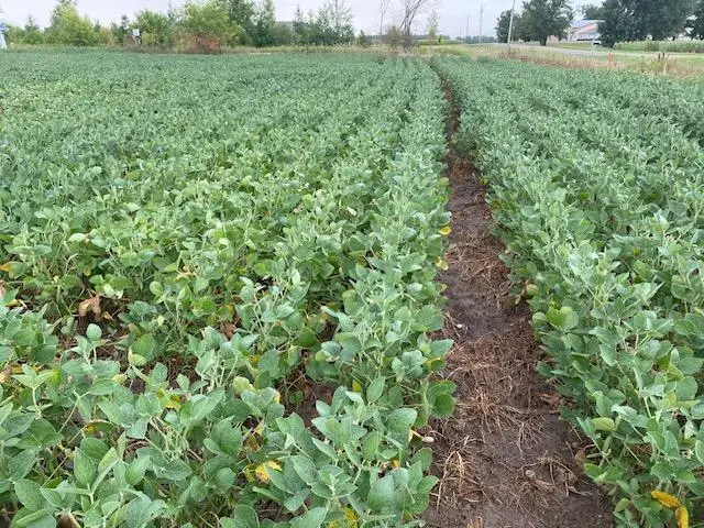 TBD 160th St., Foreston, MN 56330 - #3