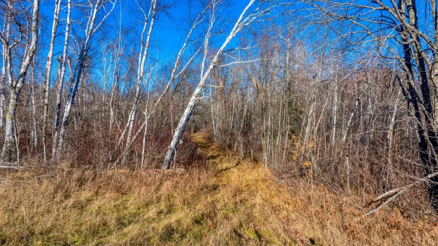 TBD Gillman Road Ne, Puposky, MN 56667 - Image #2