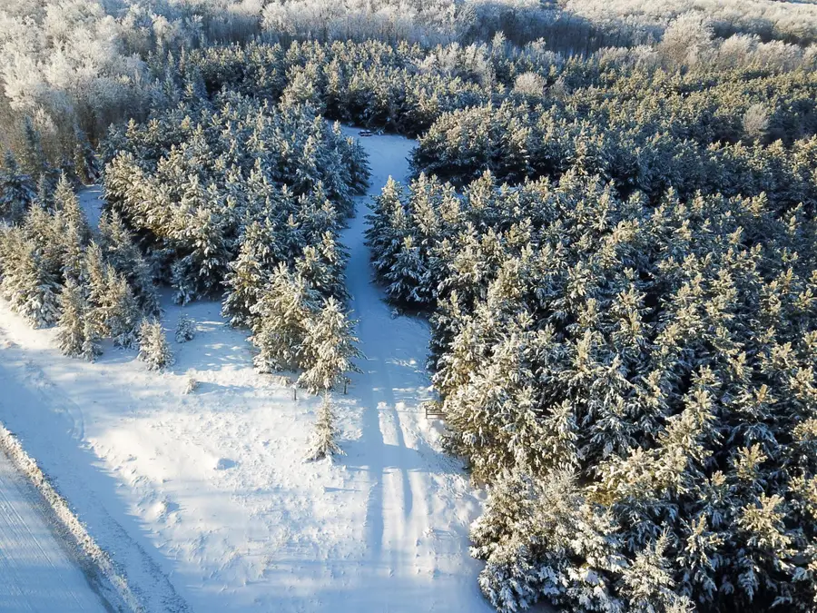 TBD 161st Avenue, Clearbrook, MN 56634 - Image #3