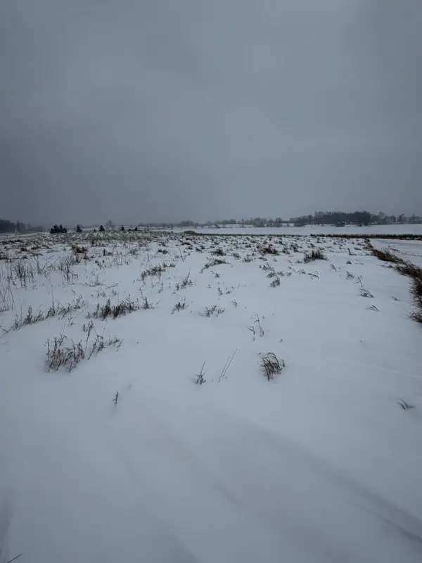 TBD 395th, Dent, MN 56528