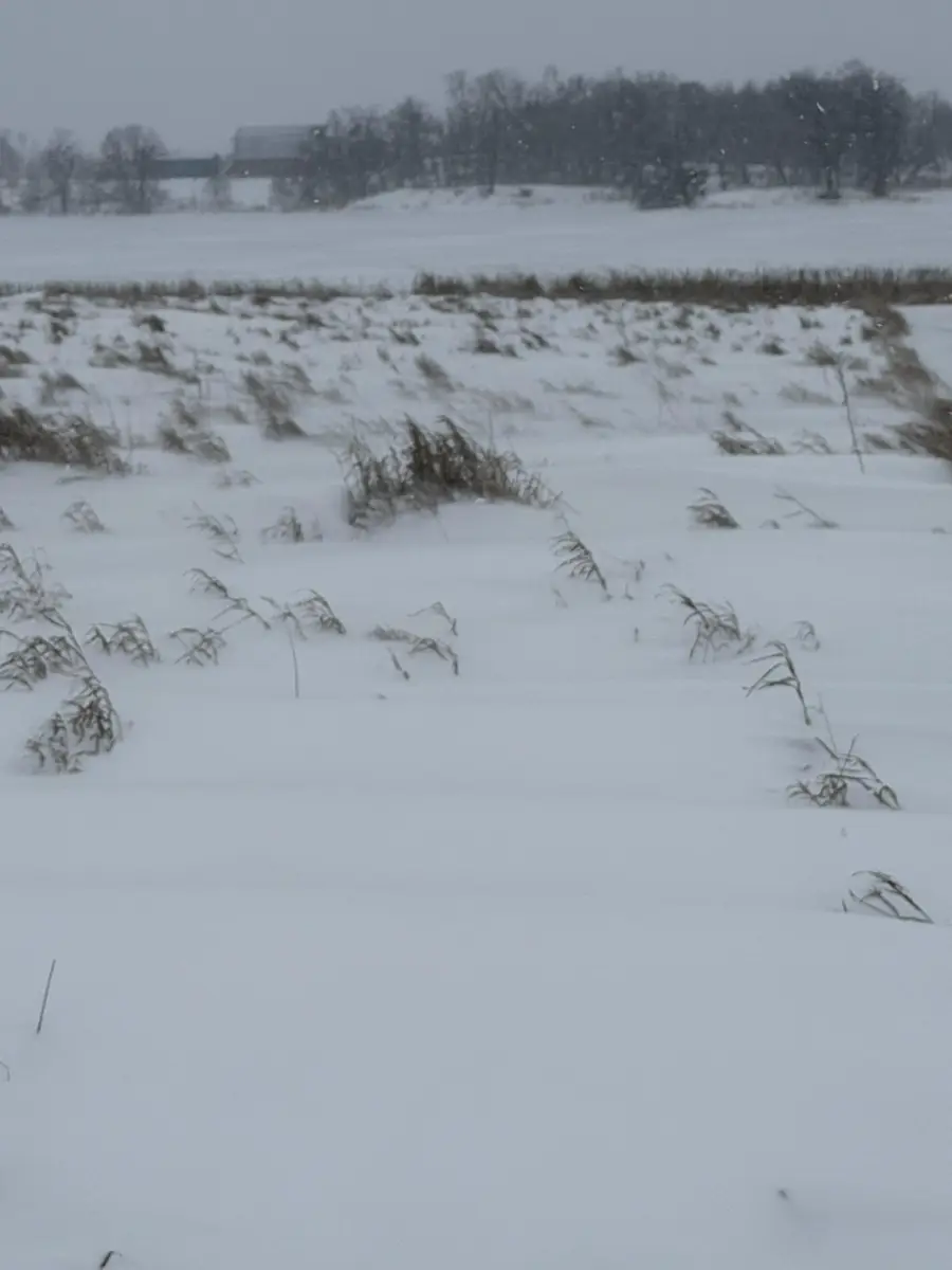 TBD 395th, Dent, MN 56528 - #3