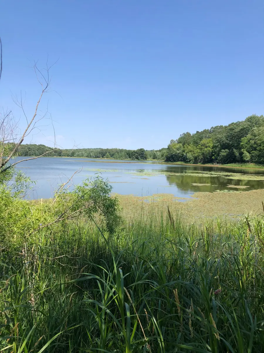 TBD 15th Ave Lot 3, Deer Park, WI 54007 - Image #3