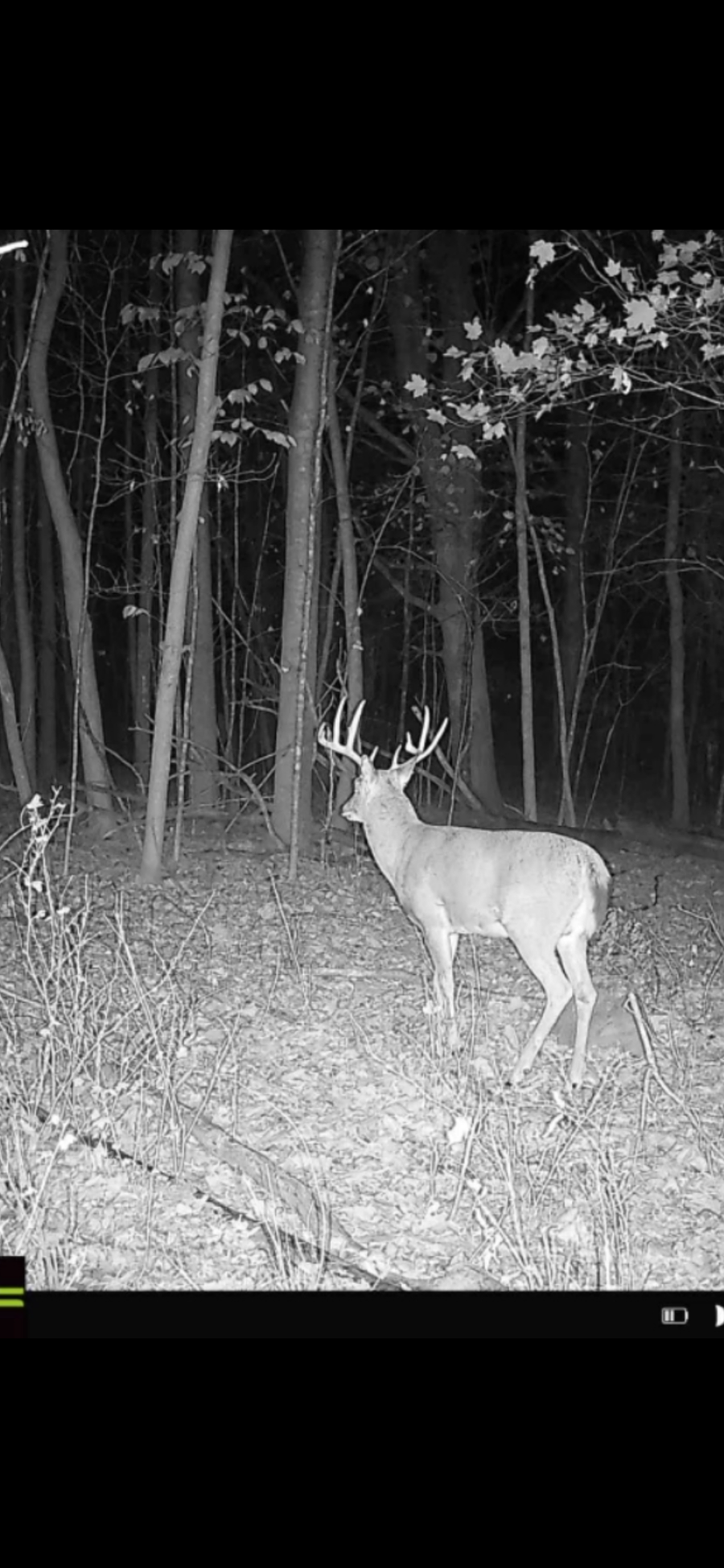 XX5 County Road 3, Holdingford, MN 56340 - Image #3