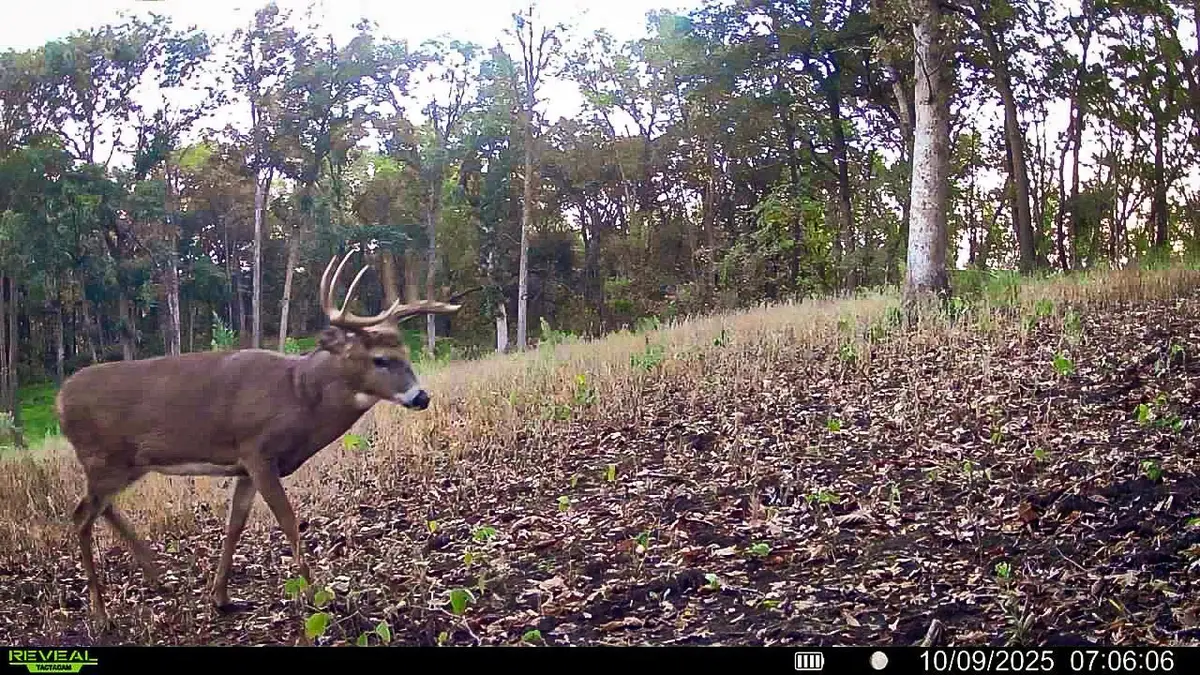 W27022 Whistle Pass Road, Dodge, WI 54661 - #1