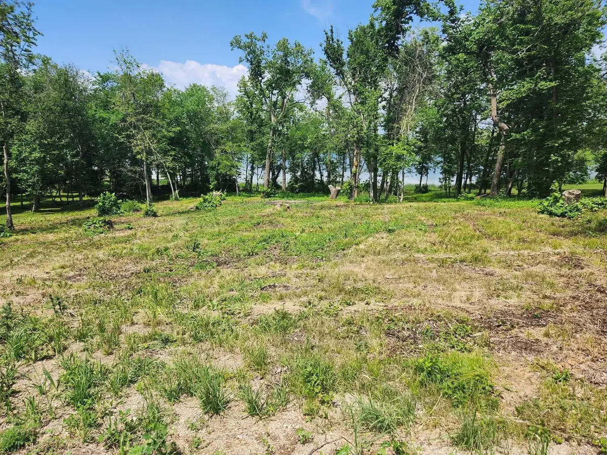 Lot 2 125th Street, Dalton, MN 56324 - Image #1