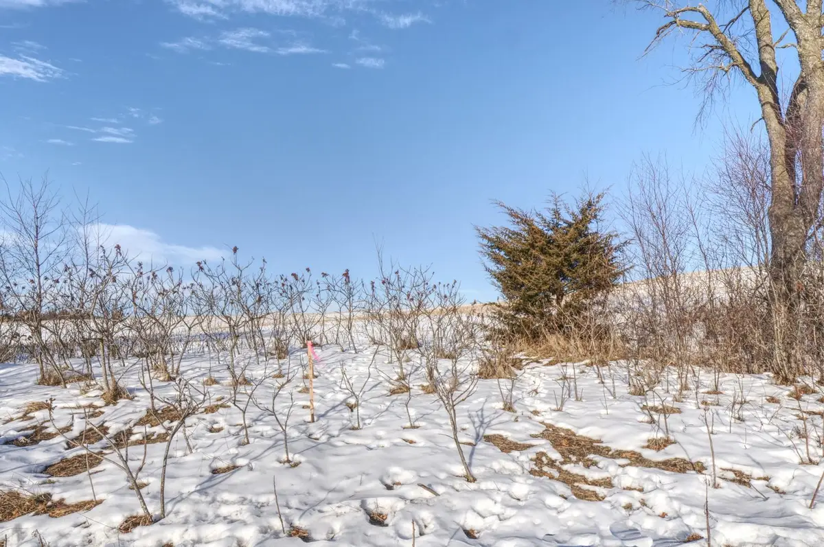 XXXX 80th Avenue, Mondovi, WI 54755 - Image #1