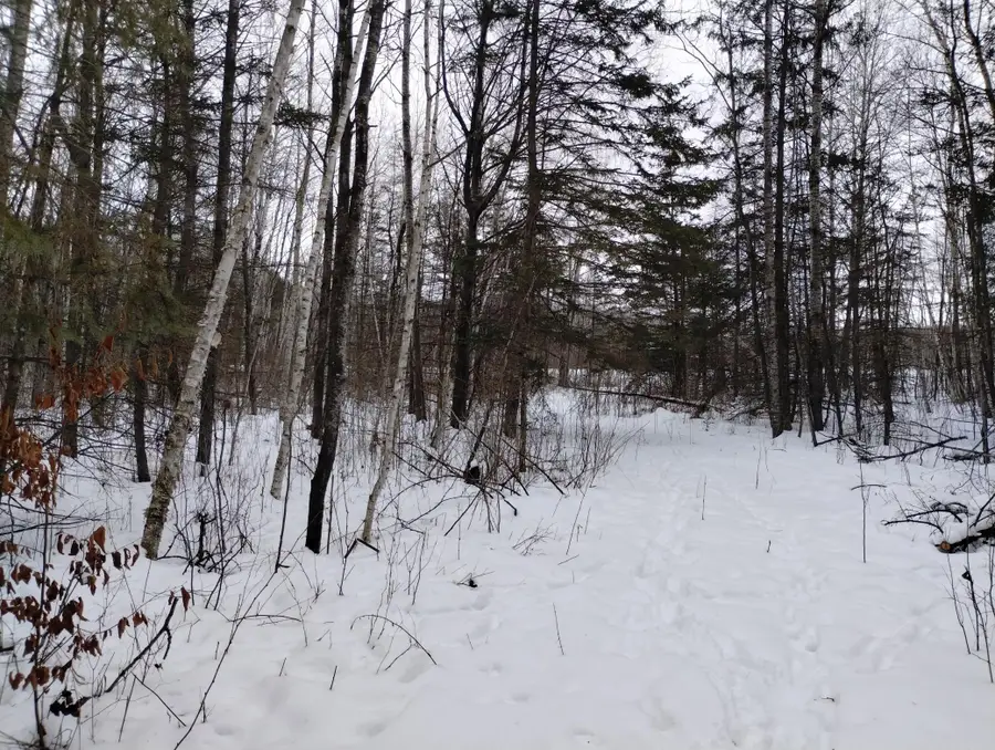 tbd 294th Avenue, Brook Park, MN 55007 - Image #3